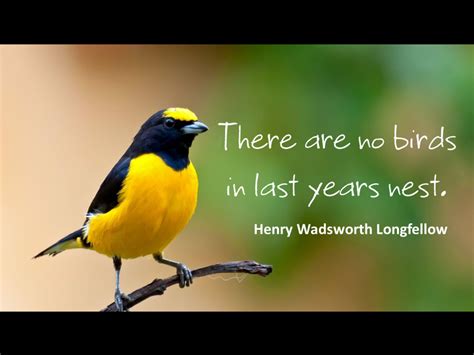 Inspirational Quotes About Birds | hubpages