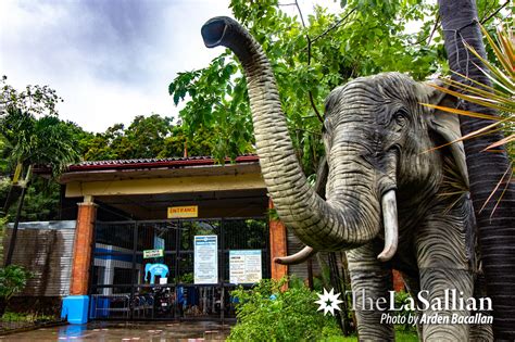 Animals in captivity: Manila Zoo understood – The LaSallian