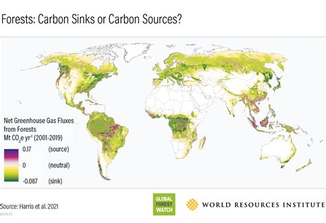 Amazon is on the brink of turning into a carbon source, study warns