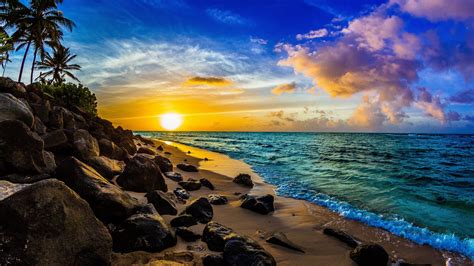 sky, sea, exotic, ocean, hawaii, oahu, sunset, beautiful, palms, stones, rays, tropics, sands HD ...