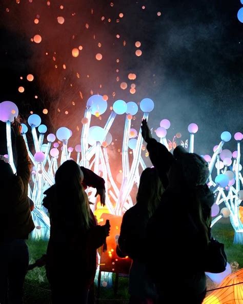 How to Visit Glowfari at the Oakland Zoo this Winter Season - Beautiful ...