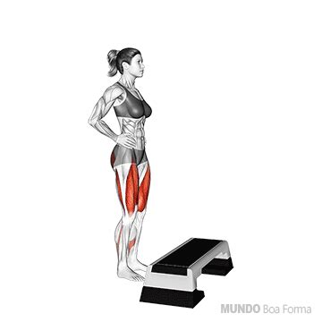 15 melhores exercícios para bumbum, casa e academia - MundoBoaForma