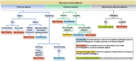 In Which Type of Environment Do Microorganisms Grow Best Quizlet - SullivananceRichardson