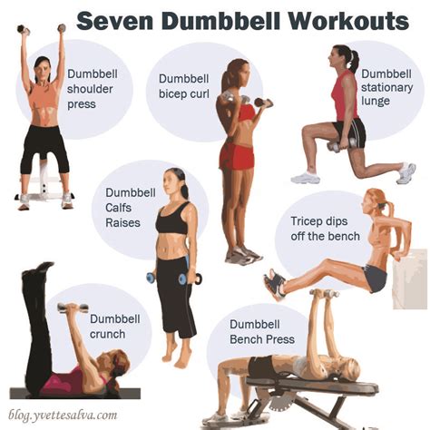 Belly Fat Burning Exercises With Dumbbells – Online degrees