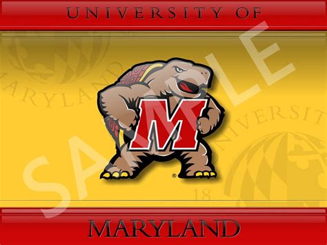 University of Maryland Wallpaper - WallpaperSafari