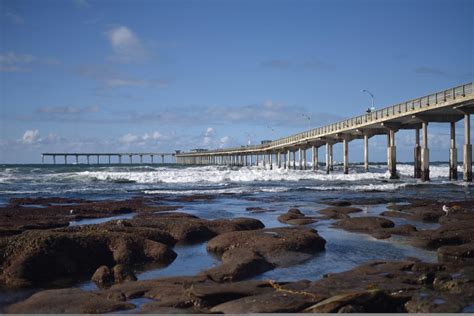 Exploring the Best Beaches to Swim in San Diego