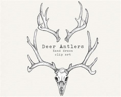 Antlers Clipart Antler Clipart Deer PNG Deer Antlers - Etsy Canada