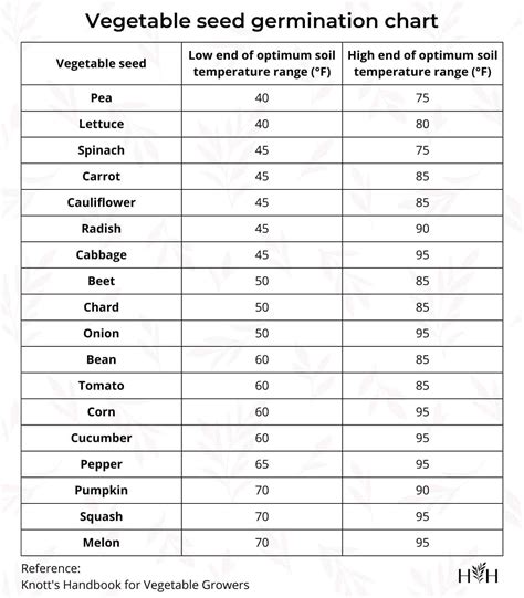 Vegetable Seed Germination Temperature Chart