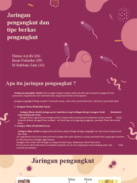 Jaringan Pengangkut Dan Tipe Berkas Pengangkut | PDF