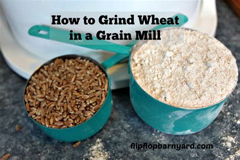 How to Grind Wheat in a Grain Mill | The Flip Flop Barnyard