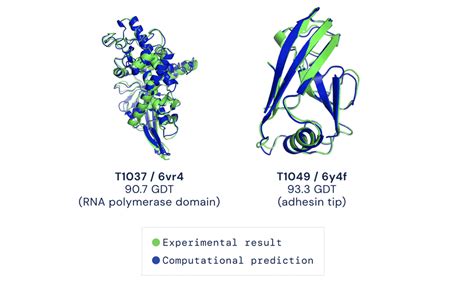 Highly accurate protein structure prediction with AlphaFold | Papers ...