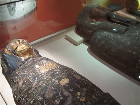 Egyptian Mummies, Derby City Museum & Art Gallery, Derby, … | Flickr