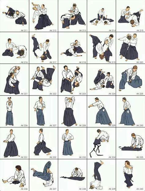 17 Best images about Aikido on Pinterest | Drills, Aikido and Swords