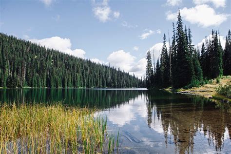 Poland Lake Hike | Outdoor Project