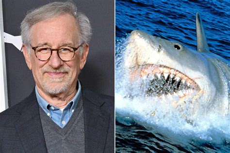 Steven Spielberg Regrets How Jaws Caused Decimation of Shark Population