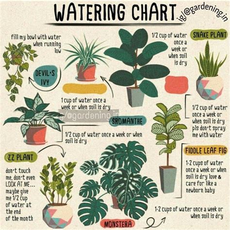 Watering chart for your some of plants 😊 by @gardening.in . Follow @gardening.in for more . . # ...