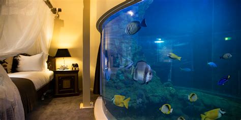 Reef Room | Jamala Wildlife Lodge