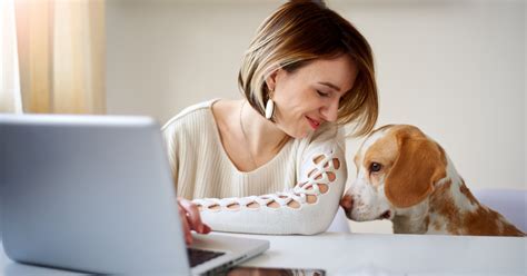 Pet Etiquette In The Workplace - PetlifeSA