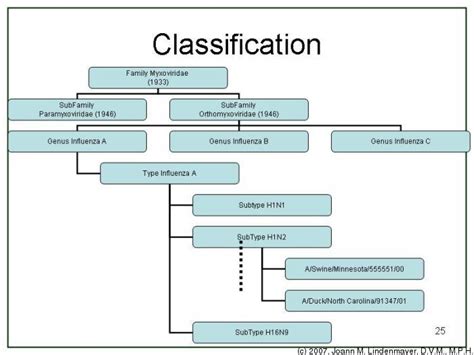 Taxonomy - Andres Galindo