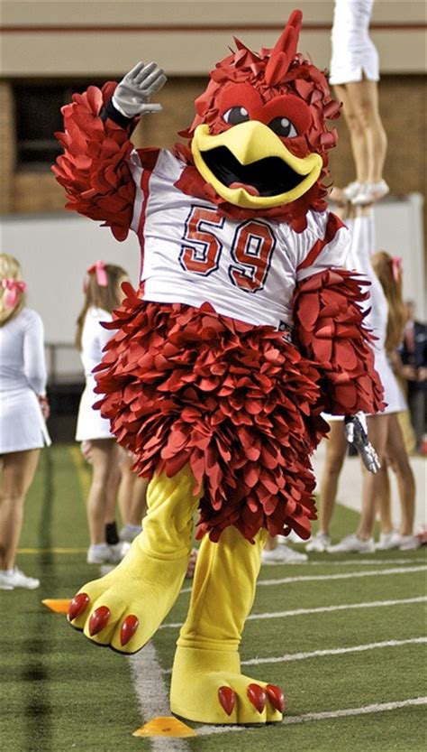 Cocky, Jacksonville State's Mascot | Jacksonville state, Mascot, Jacksonville