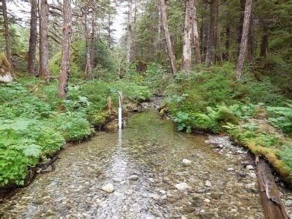 Crooked Creek | NOAA Fisheries