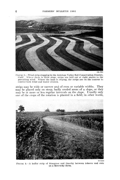 Strip cropping for conservation and production. - Page 4 - UNT Digital Library