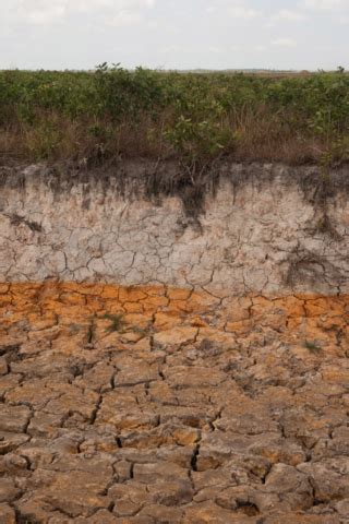 Climate Change in Cambodia – Arantxa Cedillo