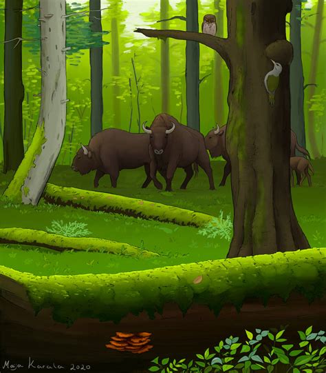 Primeval Forest by Eurwentala on DeviantArt