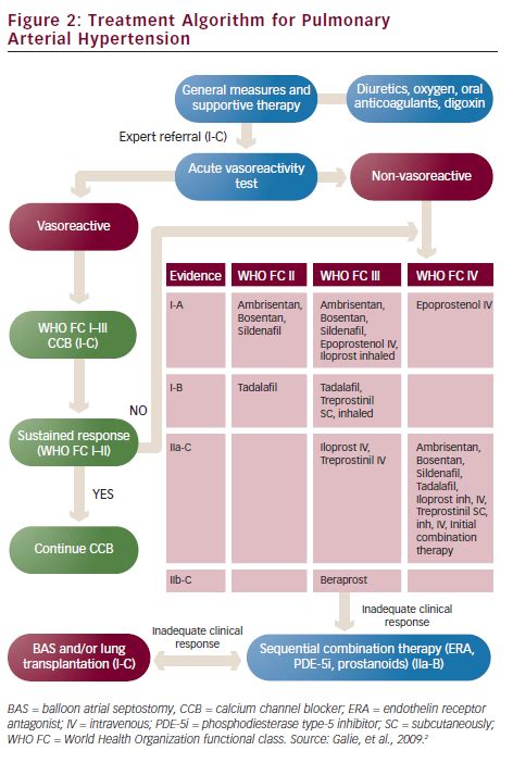 Treatment Algorithm for Pulmonary Arterial Hypertension | Radcliffe ...