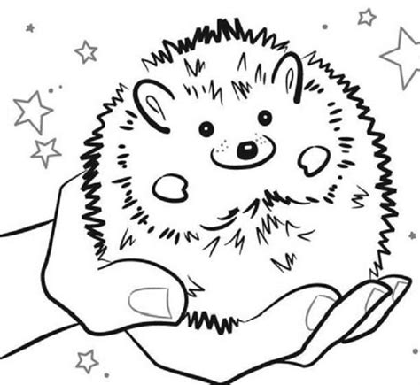 Hedgehog Coloring Pages - Best Coloring Pages For Kids