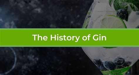 The Story Of Gin - History, Production And The Modern Drink