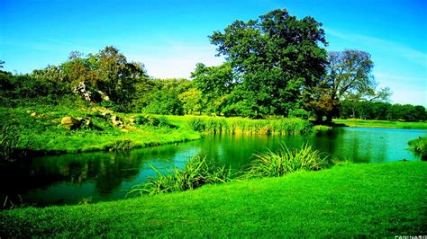 green fields by the river