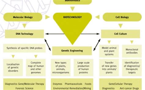 Applications of genetic Engineering in Agriculture | Agricultural engineering