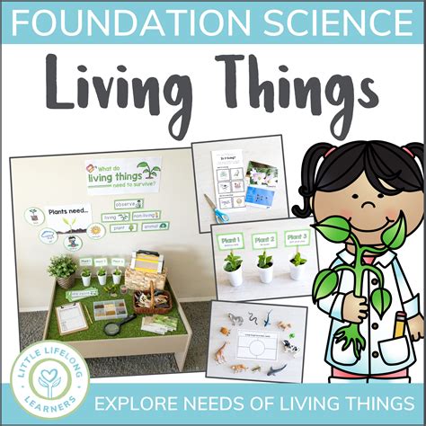 Living Things - Animals, Plants and Their Needs - Little Lifelong Learners