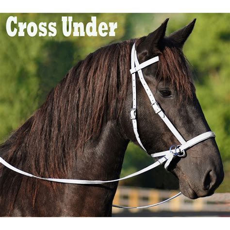 Order White 2 in 1 Bitless Bridle Made From Beta Biothane | Two Horse Tack