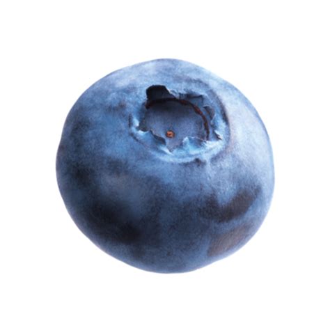 Blueberries PNG Transparent Images, Pictures, Photos