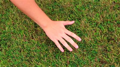 Touching Grass Tutorial - YouTube