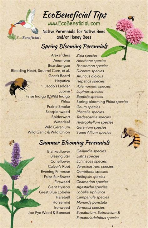 POLLINATOR PLANT LIST – The Garden Club of East Hampton