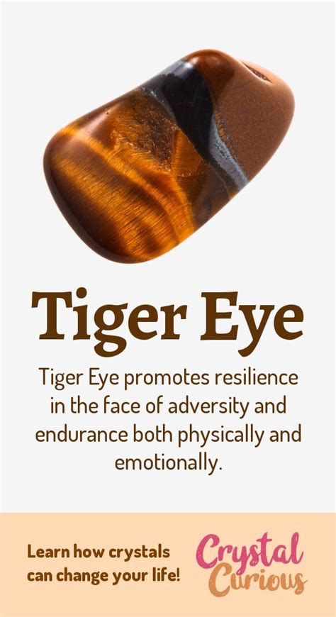 Tiger Eye Healing Properties & Benefits in 2020 | Crystal healing stones, Gemstone healing ...