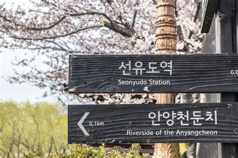 80+ Basic Korean Travel Phrases - Phrases To Learn Before Visiting Korea