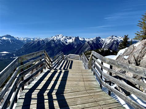 Banff's Sulphur Mountain Hike: Everything You Need to Know - The Holistic Backpacker