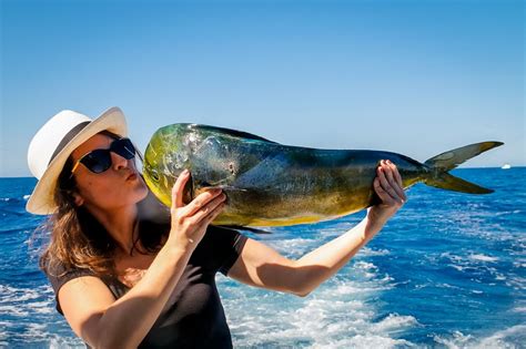 Best Sport Fishing Charters In Cabo San Lucas → Baja Wanderer