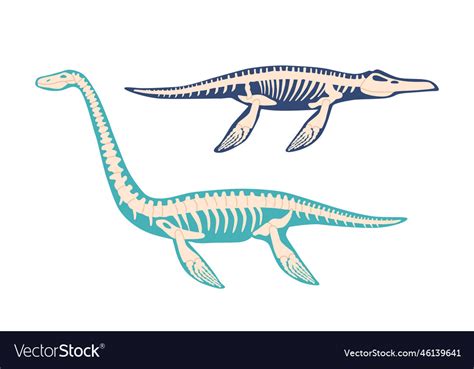 Elasmosaurus and mosasaurus dinosaur skeleton Vector Image