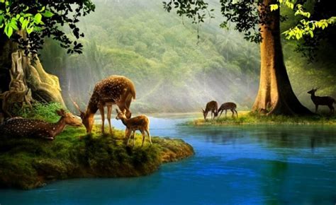 Deer Drinking Water Painting at PaintingValley.com | Explore collection of Deer Drinking Water ...