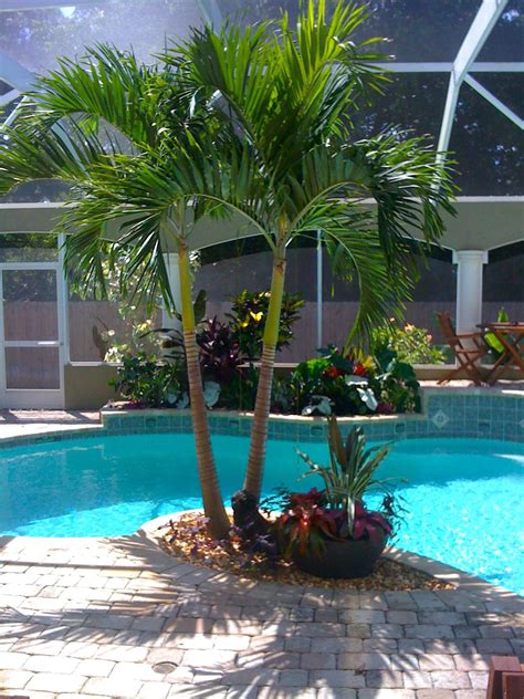 Tropical Pool Landscaping Ideas