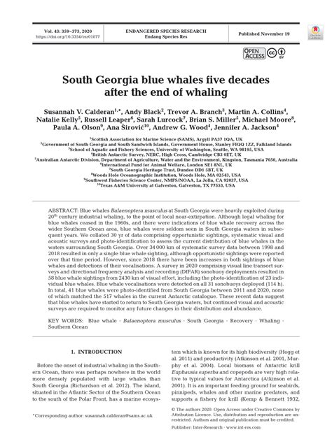 (PDF) South Georgia blue whales five decades after the end of whaling