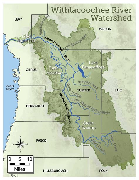 Withlacoochee River Watershed Map | WaterMatters.org