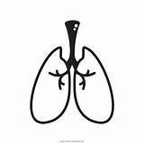Human Lungs Coloring Pages sketch template