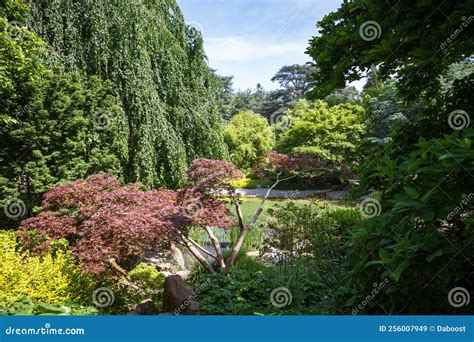 Pond in a japanese garden stock image. Image of decoration - 256007949