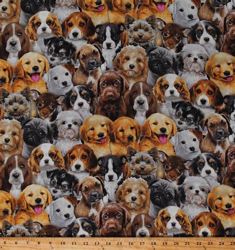 Dog Collage Wallpapers - Top Free Dog Collage Backgrounds - WallpaperAccess